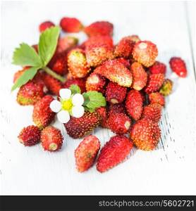 Wild strawberry heap on the table outdoor. Focus on flower