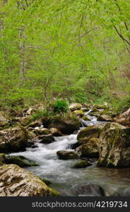 Wild stream between stones in spring forest. National park Tara