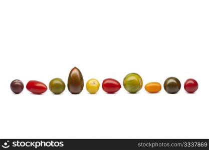 Wild tomatoes in a row at white background