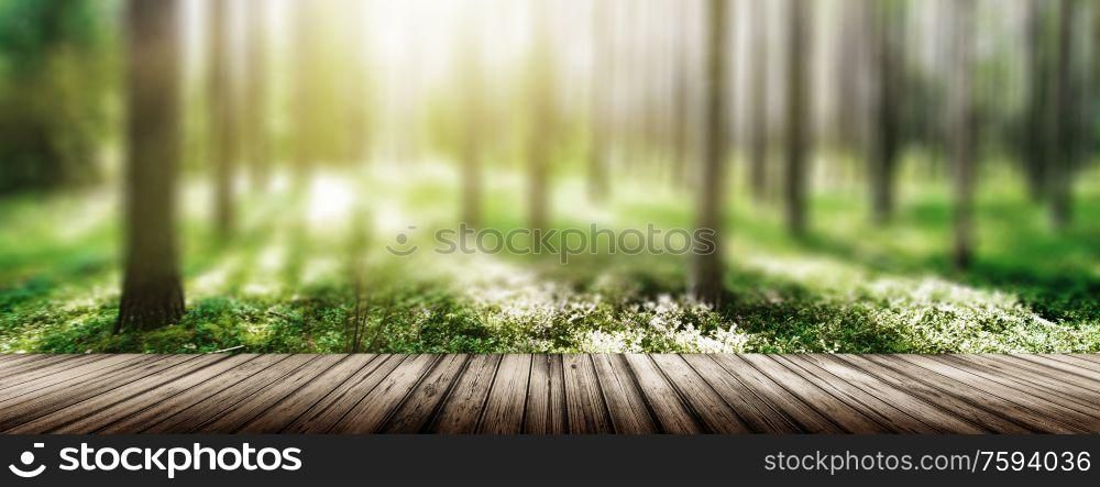 Wild trees in forest. Summer green landscape. Wild trees in forest