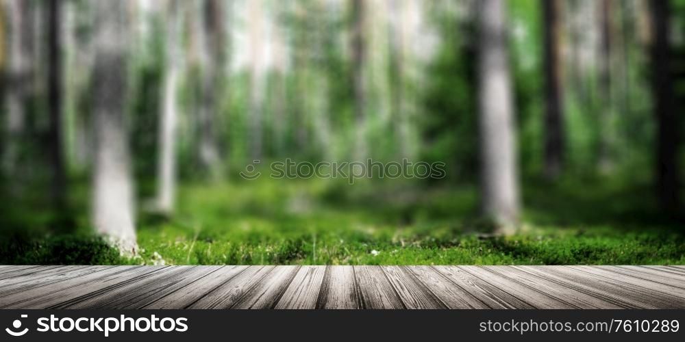 Wild trees in forest. Summer green landscape. Wild trees in forest