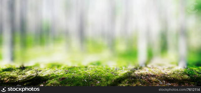 Wild trees in forest. Summer green landscape. Wild trees in forest