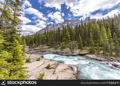 Wild water at Mistaya Canyon at Icefields Parkway, Alberta, Canada