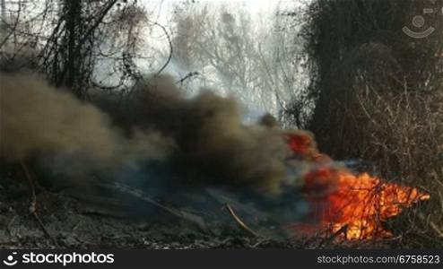 wildfire on the side of the road, burning wood and car tire