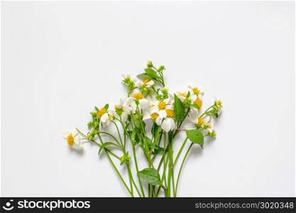 Wildflowers decoration isolated on white background