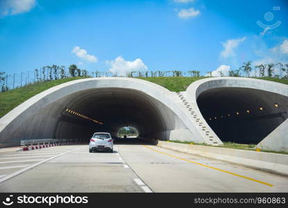 Wildlife crossing over on highway in forest road tunnel traffic car speed on street / Bridge for animals over a highway