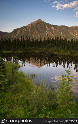 Wildlife moves in the smooth water in Alaska