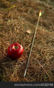 William tell metaphor with red apple and arrow