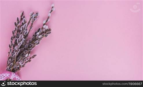 willow branches with catkins pink table. High resolution photo. willow branches with catkins pink table. High quality photo