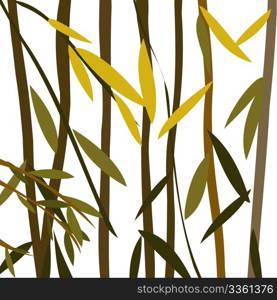 Willow leaves over a white background