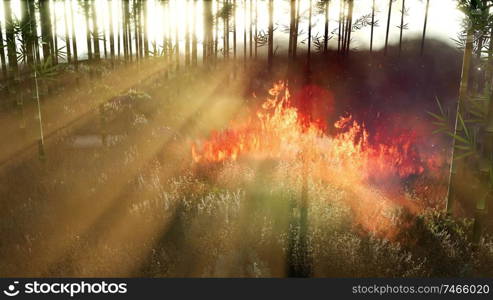 Wind blowing on a flaming bamboo trees during a forest fire