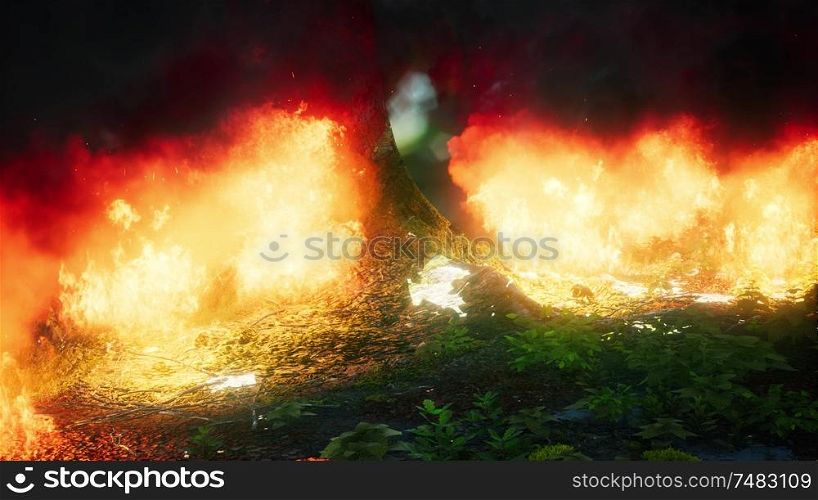Wind blowing on a flaming trees during a forest fire