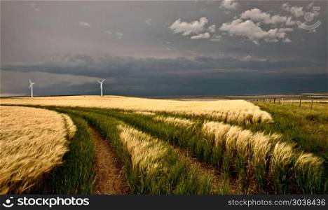 Wind Farm Storm in Saskatchewan Canada,WheatField. Wind Farm Storm