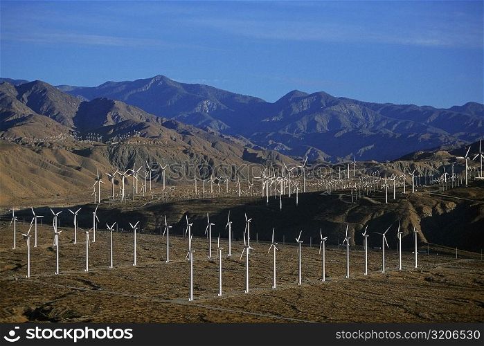 Wind farm turbines, Whitewater, California