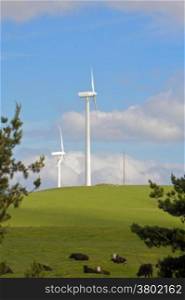 Wind farm with turbines generating electrical energy for green power