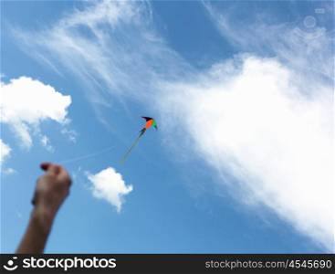 wind kite flying in the blue summer sky
