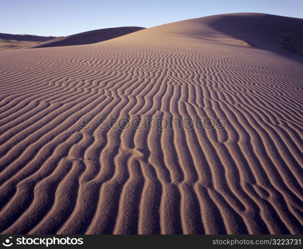 Wind Making Furrows in Sand