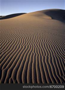 Wind Making Furrows in Sand
