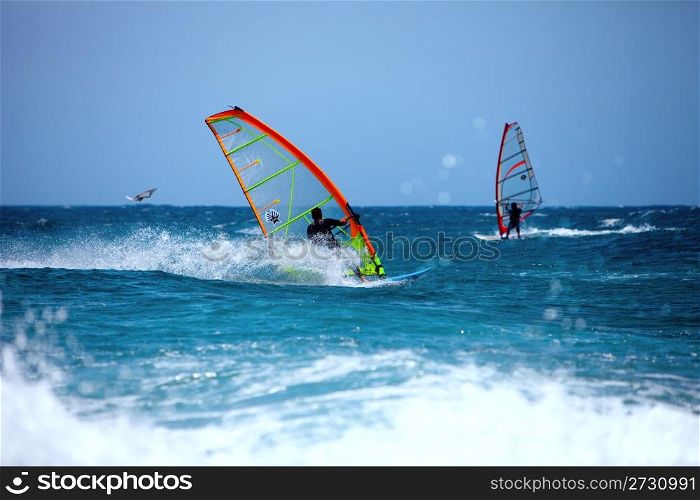 Wind surfing in the summer