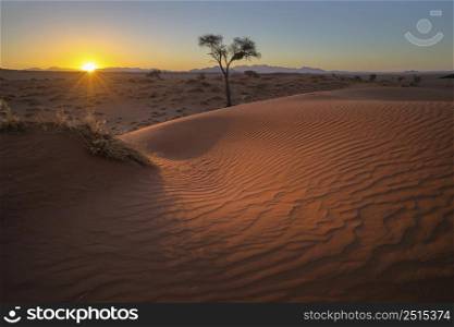 Wind swept patterns on red sand dune at sunet Namibia