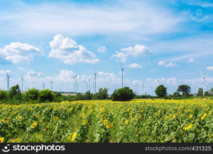 Wind Turbine for alternative energy in sun flowers field. Eco power, clean energy concept.