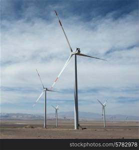 Wind turbines, Calama, El Loa Province, Antofagasta Region, Chile