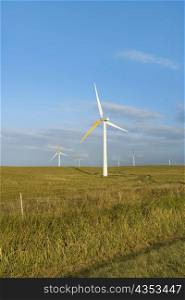 Wind turbines in a field, Pakini Nui Wind Project, South Point, Big Island, Hawaii Islands, USA