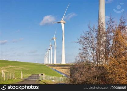 Wind turbines with blue sky in polder landscape of Dutch Noordoostpolder. Wind turbines in polder landscape of Dutch Noordoostpolder