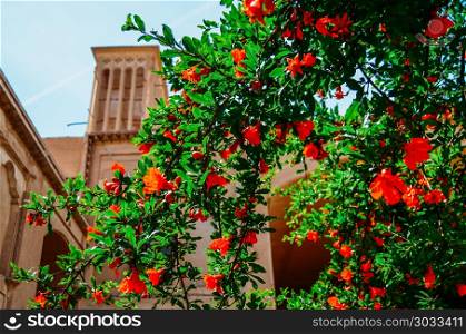 Windcatcher towers is a traditional Persian architectural element to create natural ventilation in buildings, old city Yazd Iran. Roses on the foreground. Windcatcher towers is a traditional Persian architectural element to create natural ventilation in buildings, old city Yazd Iran. Roses on the foreground.. Windcatcher towers is a traditional Persian architectural element to create natural ventilation in buildings, old city Yazd Iran. Roses on the foreground.