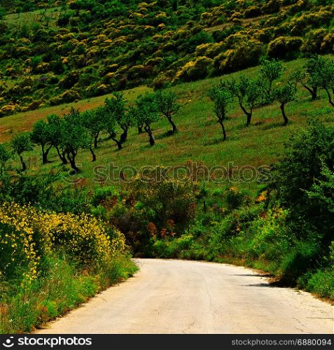 Winding Asphalt Road between Fields of Sicily
