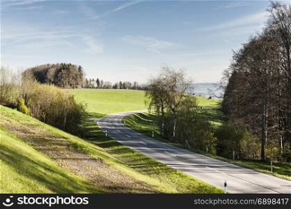Winding asphalt road between pastures in Switzerland early morning. Swiss landscape with meadows