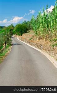 Winding Asphalt Road in Tuscany
