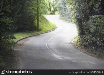 Winding Country Road Sided By Hedges