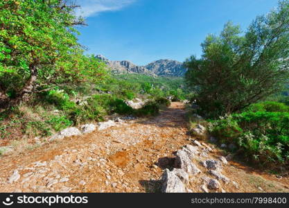 Winding Dirt Road in the Cantabrian Mountains, Spain