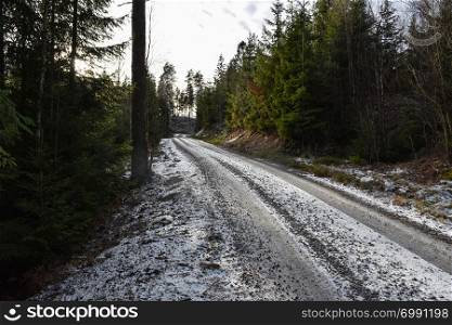 Winding frosty gravel road through a coniferous woodland
