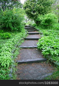 Winding garden path.