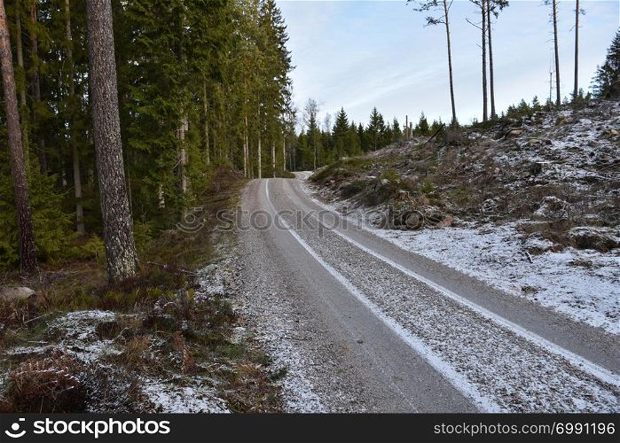 Winding gravel road through the woods in winter season