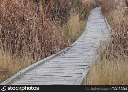 winding nature trail - wooden boardwalk path through wetlands, fall scenery