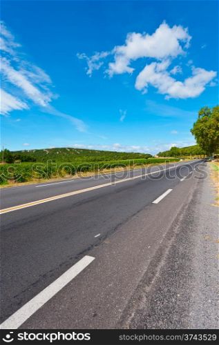 Winding Paved Road near Vineyard in France