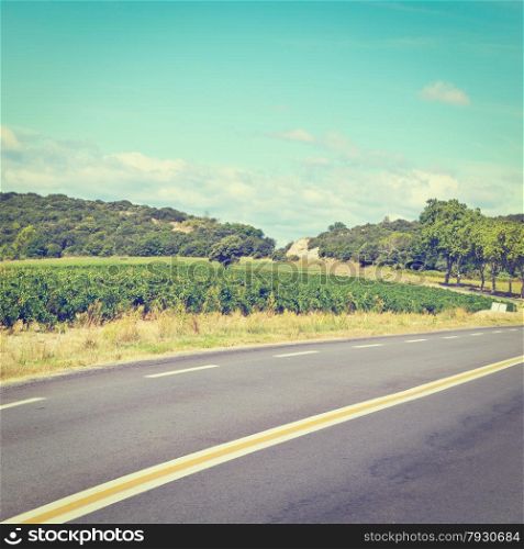 Winding Paved Road near Vineyard in France, Instagram Effect
