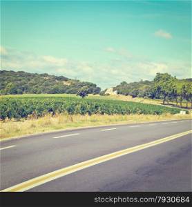 Winding Paved Road near Vineyard in France, Instagram Effect