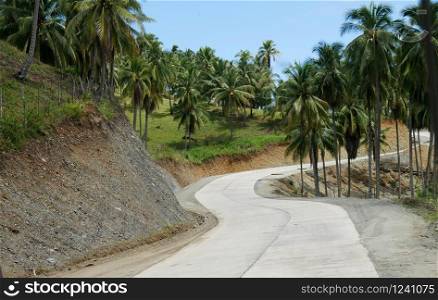 Winding road along coconut plantations in Governor Generoso, Davao Oriental, Philippines.