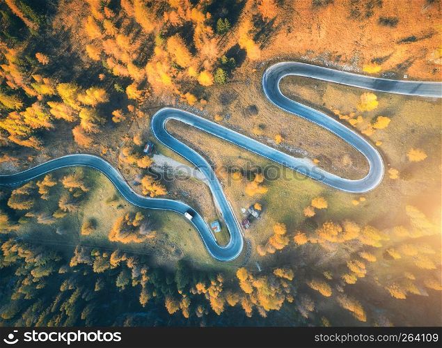 Winding road in autumn forest at sunset in mountains. Aerial view. Top view of beautiful asphalt roadway and orange trees. Highway through the woodland in fall. Trip in europe. Travel and nature