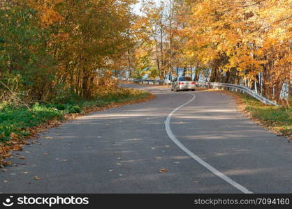 winding road in the autumn forest, trees with yellowed leaves on the roadside. trees with yellowed leaves on the roadside, winding road in the autumn forest