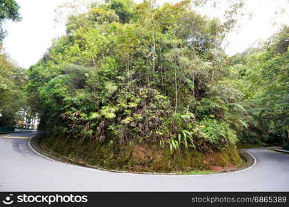 Winding road in the Kinabalu Park in Sabah, Malaysia