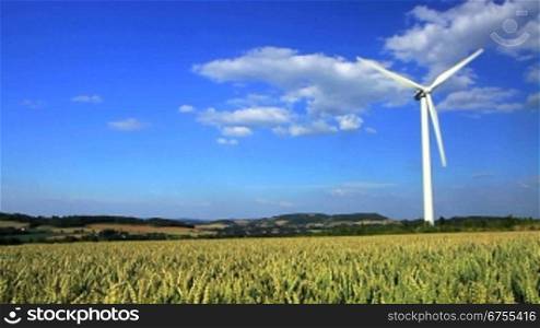 Windkraftanlage in einem Getreidefeld vor blauem Himmel, Westfalen, Deutschland
