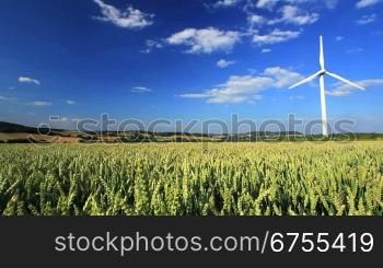 Windkraftanlage in einem Getreidefeld vor blauem Himmel, Westfalen, Deutschland geeignet fnr Zeitraffer