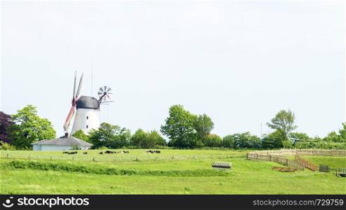 Windmill and barn in green fields of dybbol molle in sonderborg denmark horizontal panoramic
