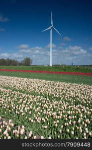 windmill in the fields with flowers in the foreground