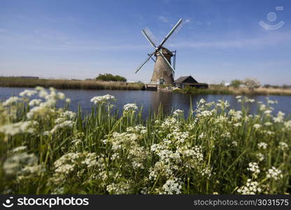 Windmill, Kinderdijk in netherlands. Dutch windmill in Kinderdijk